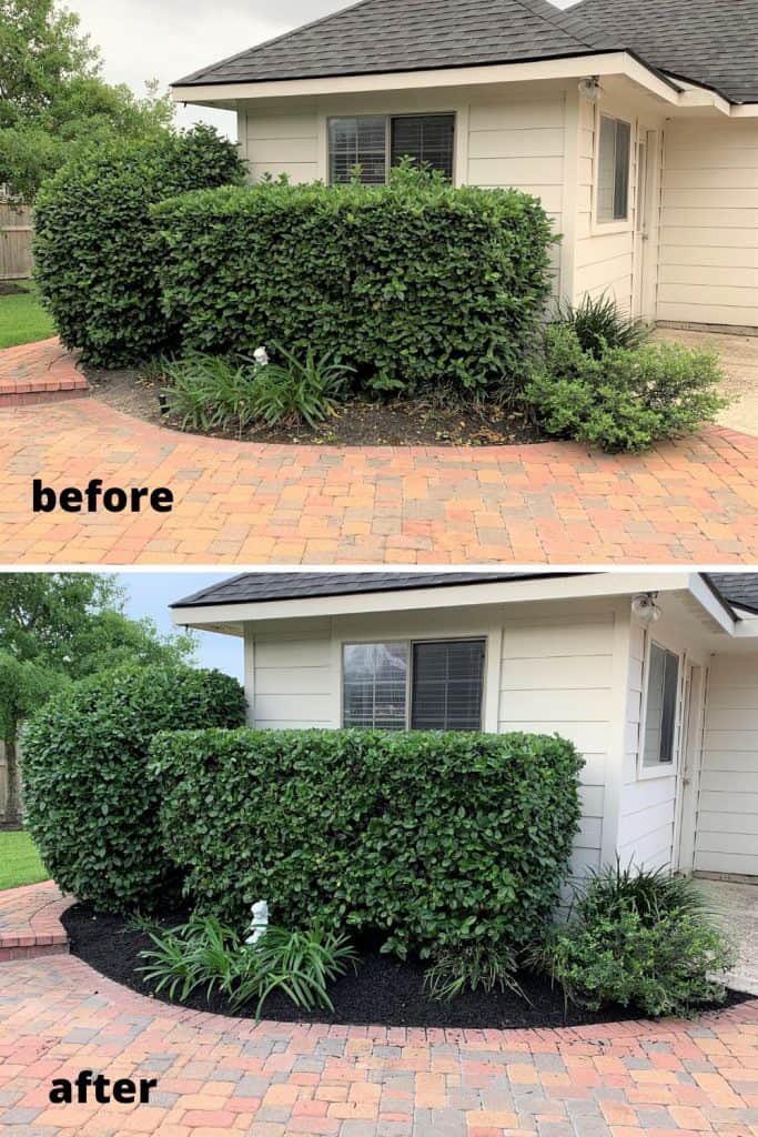 Front row trim, Hedge trimming in Wetumpka, AL