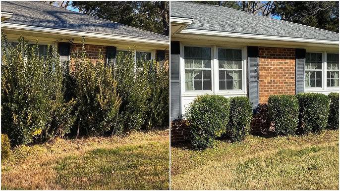 Hedge wall reset, Hedge trimming in Prattville, AL