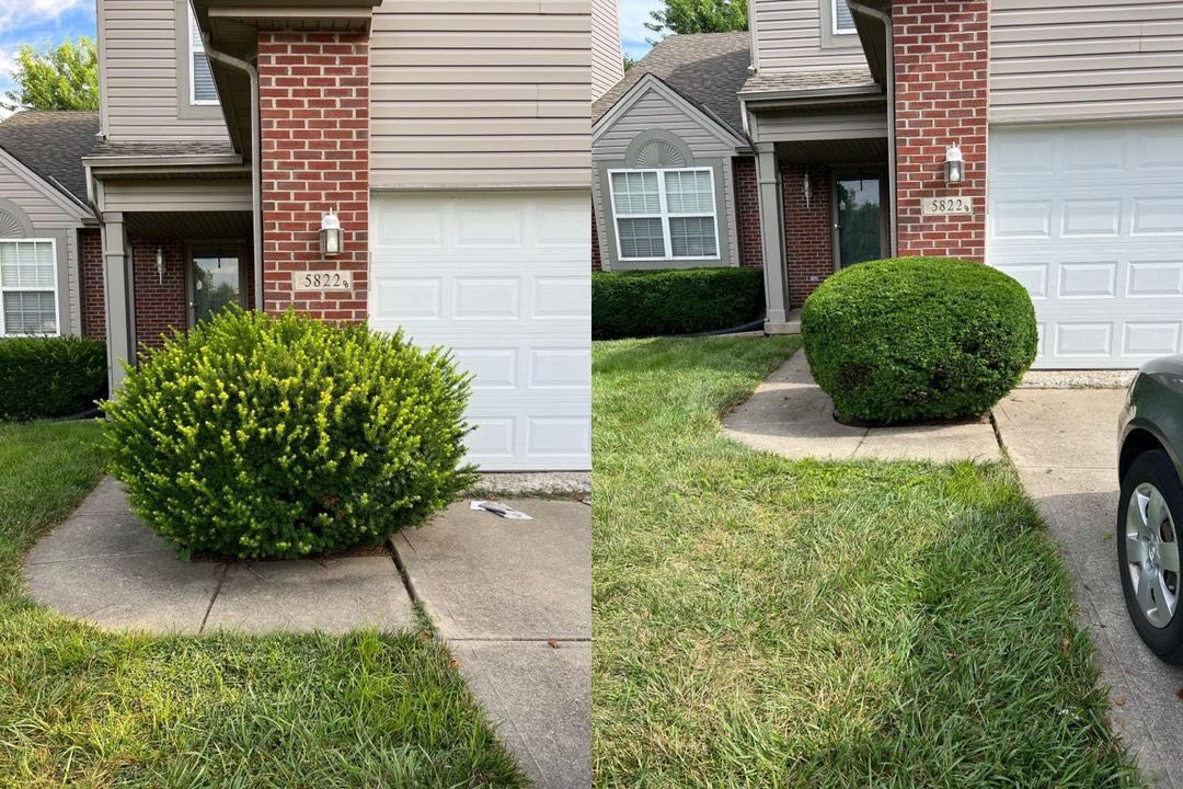 Bush, sculpted, Bush &amp; shrub work in Pike Road, AL